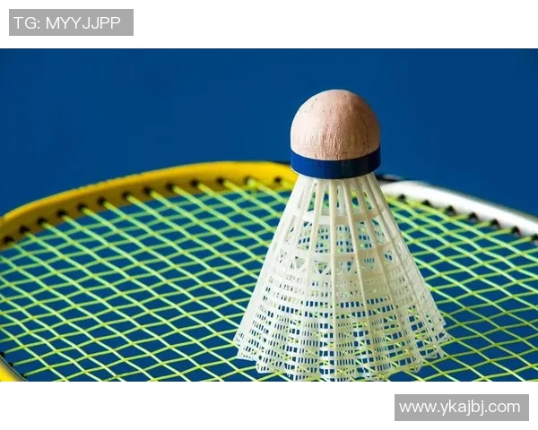 广州羽毛球队与杭州羽毛球队赛后技术分析与战术探讨