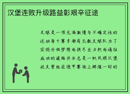 汉堡连败升级路益彰艰辛征途
